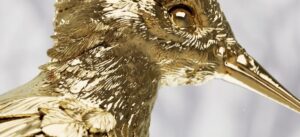 Josh Andrés Rivera-The Hunger Games- La ballata dell’usignolo e del serpente