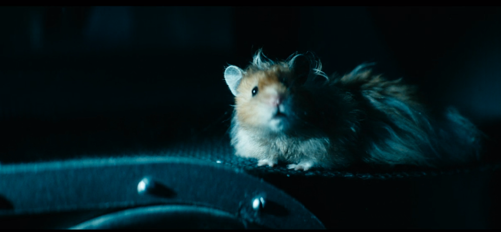 Jamie in The Boys 3x04 - Credits: Prime Video