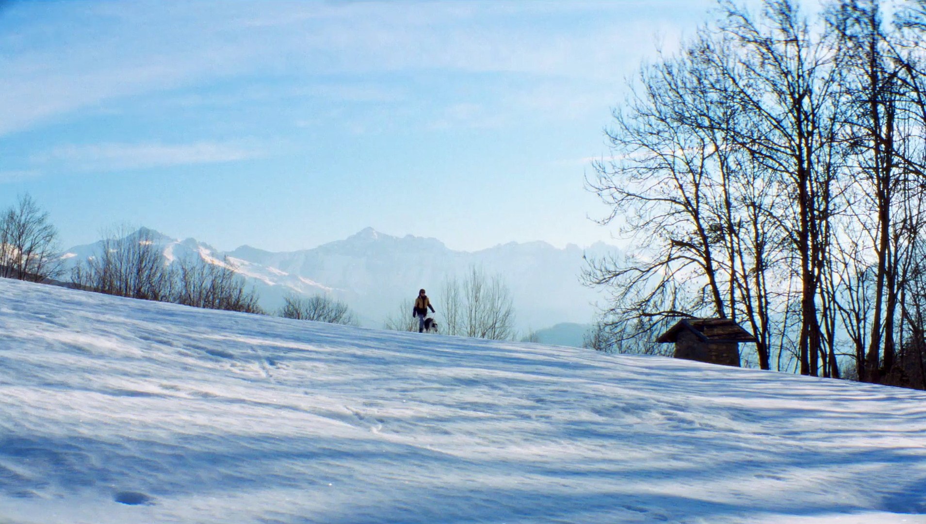 anatomia di una caduta